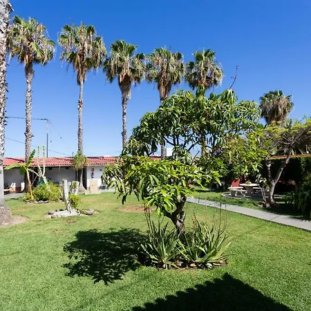 La Gaviota - El Granito Lägenhet Icod De Los Vinos